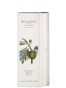 Flora Antillarum Bologne 2014 7 Y.O. Rhum VIeux Agricole
